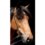 DENNI DESIGN CLINCHER MESSING PÅDEBÅND – SORT