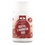 Healthwell Acetyl L-Carnitin