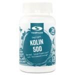 Healthwell Cholin 500