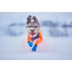 Non-stop langdistance bootie hundesok