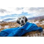 Non-stop sovepose til hunde